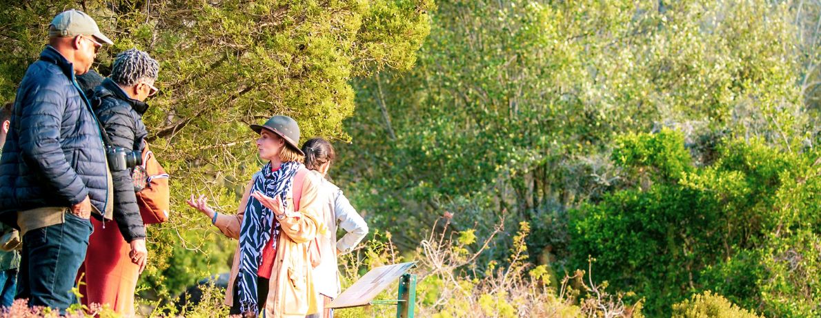 Hiking Tours and Stories