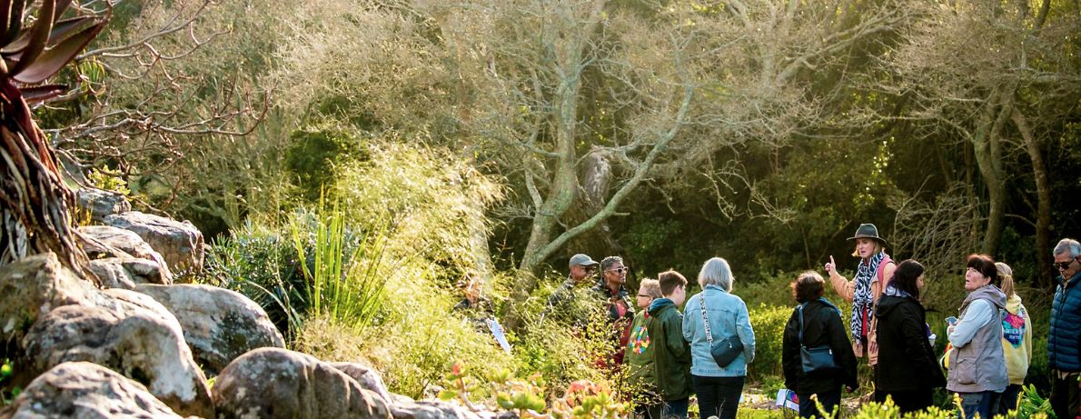 Hiking Tours and Stories